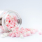 Mini Marshmallow Toppings (1kg)